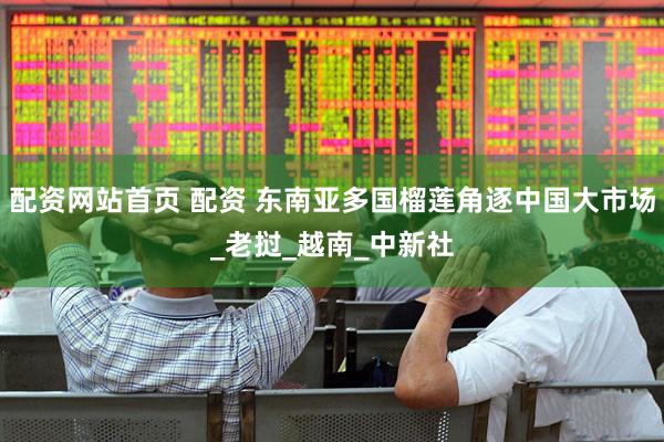 配资网站首页 配资 东南亚多国榴莲角逐中国大市场_老挝_越南_中新社